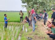 Farmer Field Day (FFD) PT. Bayer Indonesia Memberikan Edukasi dan Pengarahan Bagi Petani