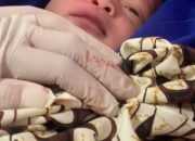 Penemuan Bayi, Gegerkan Warga Kampung