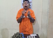 Edarkan Ganja, Warga Pangkalan Susu Ditangkap Sat Res Narkoba Polres Langkat