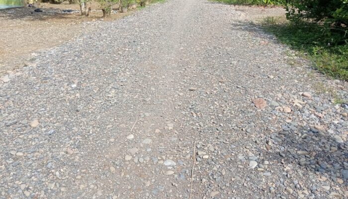 Proyek PISEW Alur Tani I dan Alur Tani II, Rampung