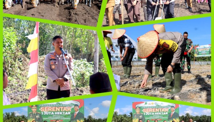 Terpantau,  Aceh Tengah dan Aceh Tamiang, Pimpin Penanaman Jagung Serentak Sejuta  Hektare di Daerahnya