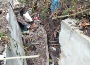 Pembangunan Saluran Drainase Uning Baru Diduga Tidak Sesuai RAB