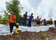 Tanggul di Pekan Seruway Nyaris Jebol, BPBD Aceh Tamiang Lakukan Revitalisasi