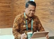 Menpan RB RI Resmikan Mal Pelayanan Publik Aceh Tamiang
