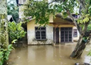 Ini Penyebab Puluhan Rumah Warga Di Desa Suka Jadi Masih Digenangi Air