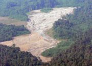 DPRK Aceh Tamiang Minta Perusahaan Perkebunan Patuhi Aturan Tentang Larangan Menanam Sawit di Sepadan Sungai