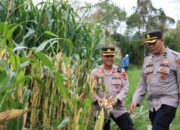 Kapolres Aceh Tengah Tinjau Lahan Produktif dan P2B Dukung Ketahanan Pangan
