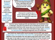 Seruan tentang Kewaspadaan Penjarahan Pasca Bencana Aceh Tamiang