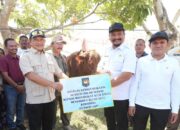 Bupati Armia Terima Sapi Meugang untuk Aceh Tamiang