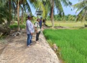 Lawan Terik dan Lumpur Pasca-Banjir, PPL Bendahara Pacu Percepatan LTT di Bulan Ramadhan