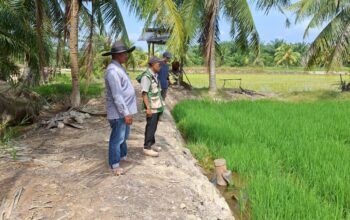 Lawan Terik dan Lumpur Pasca-Banjir, PPL Bendahara Pacu Percepatan LTT di Bulan Ramadhan
