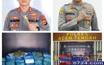 Dua Orang Pria Diciduk Satresnarkoba Polres Aceh Tengah, 62 Kilogram Ganja Berhasil Digagalkan