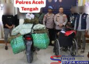 Satresnarkoba Polres Aceh Tengah Berhasil Gagalkan Peredaran 45,4 Kilogram Ganja, Kurir Antar Kabupaten di Ringkus