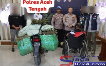 Satresnarkoba Polres Aceh Tengah Berhasil Gagalkan Peredaran 45,4 Kilogram Ganja, Kurir Antar Kabupaten di Ringkus