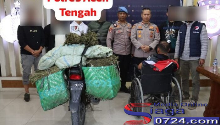Satresnarkoba Polres Aceh Tengah Berhasil Gagalkan Peredaran 45,4 Kilogram Ganja, Kurir Antar Kabupaten di Ringkus