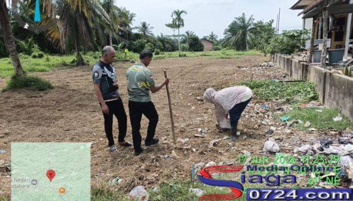 Dorong Ketahanan Pangan, Petani Mandiri Bersama Datok Penghulu dan PPL Bendahara Tanam Jagung Manis