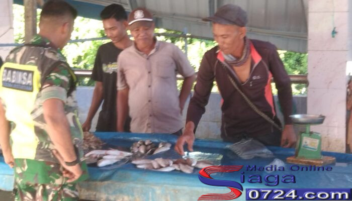 Jaga Ketahanan Pangan Pesisir, Babinsa Aceh Tamiang Blusukan Pantau Stabilitas Harga Ikan